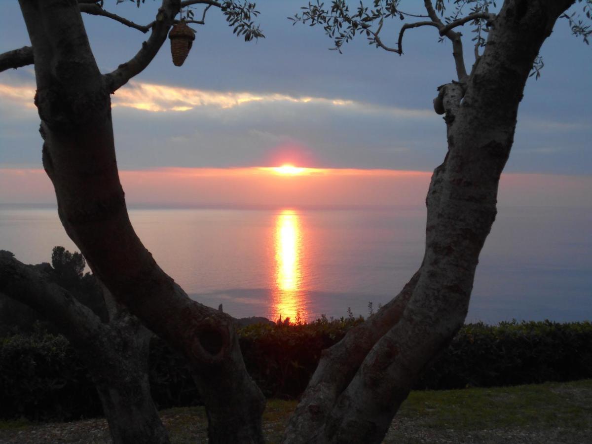 Villatramontistella Suite Capoliveri  Dış mekan fotoğraf